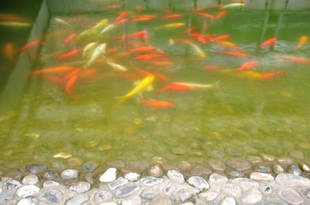 Noahs Hotel Suzhou Suzhou  Cameră foto